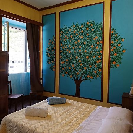 Avo Da Rosa 2 Apartment Faial da Terra Luaran gambar